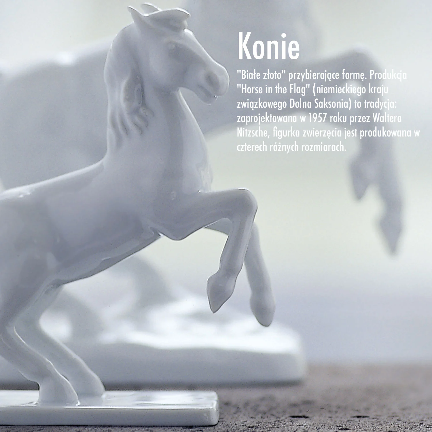 Konie porcelanowe z Furtenberga