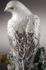 Gyrfalcon