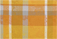 Mata plamoodporna 52x38cm