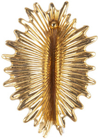 Kolczyk Actinia