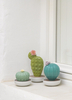 Dyfuzor zapachowy Ferocactus Cactus. Ogrody Walencji.