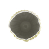 CO P VA Spirulina 30