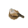 Bird of the Year 2020: Lovebird big