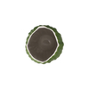 CO P VA Spirulina 20