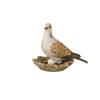 Bird of the Year 2020: Lovebird big