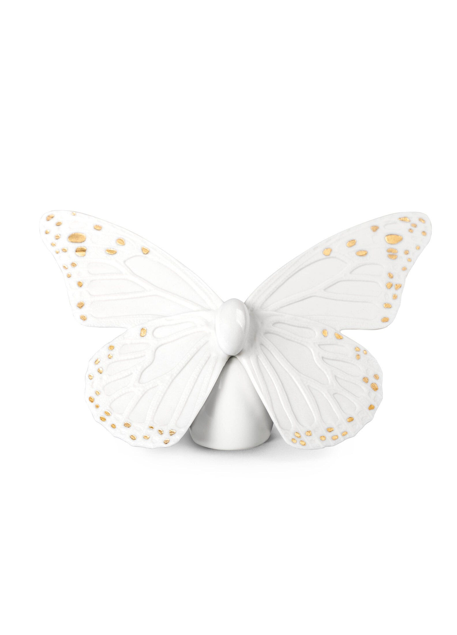 Motyl