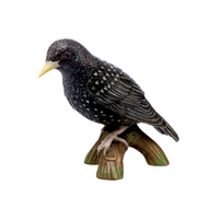 Bird of the Year 2018: Starling