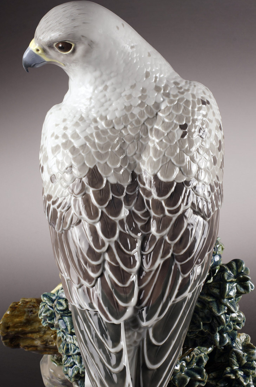 Gyrfalcon