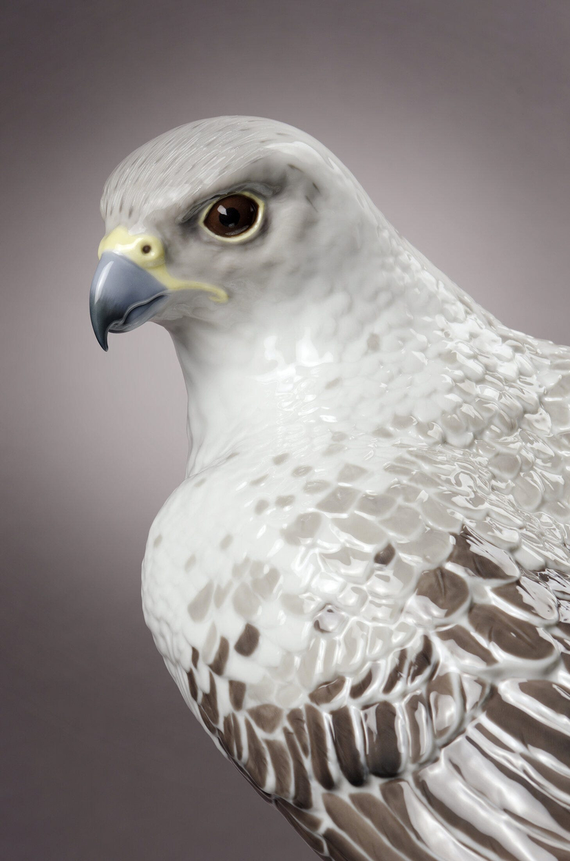 Gyrfalcon