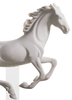 Gallop I