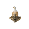 Bird of the Year 2020: Lovebird big