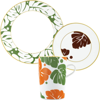 Zestaw porcelany do indywidualnej kreacji Aureole Coloree