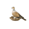 Bird of the Year 2020: Lovebird big