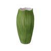 CO P VA Spirulina 20
