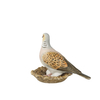 Bird of the Year 2020: Lovebird small