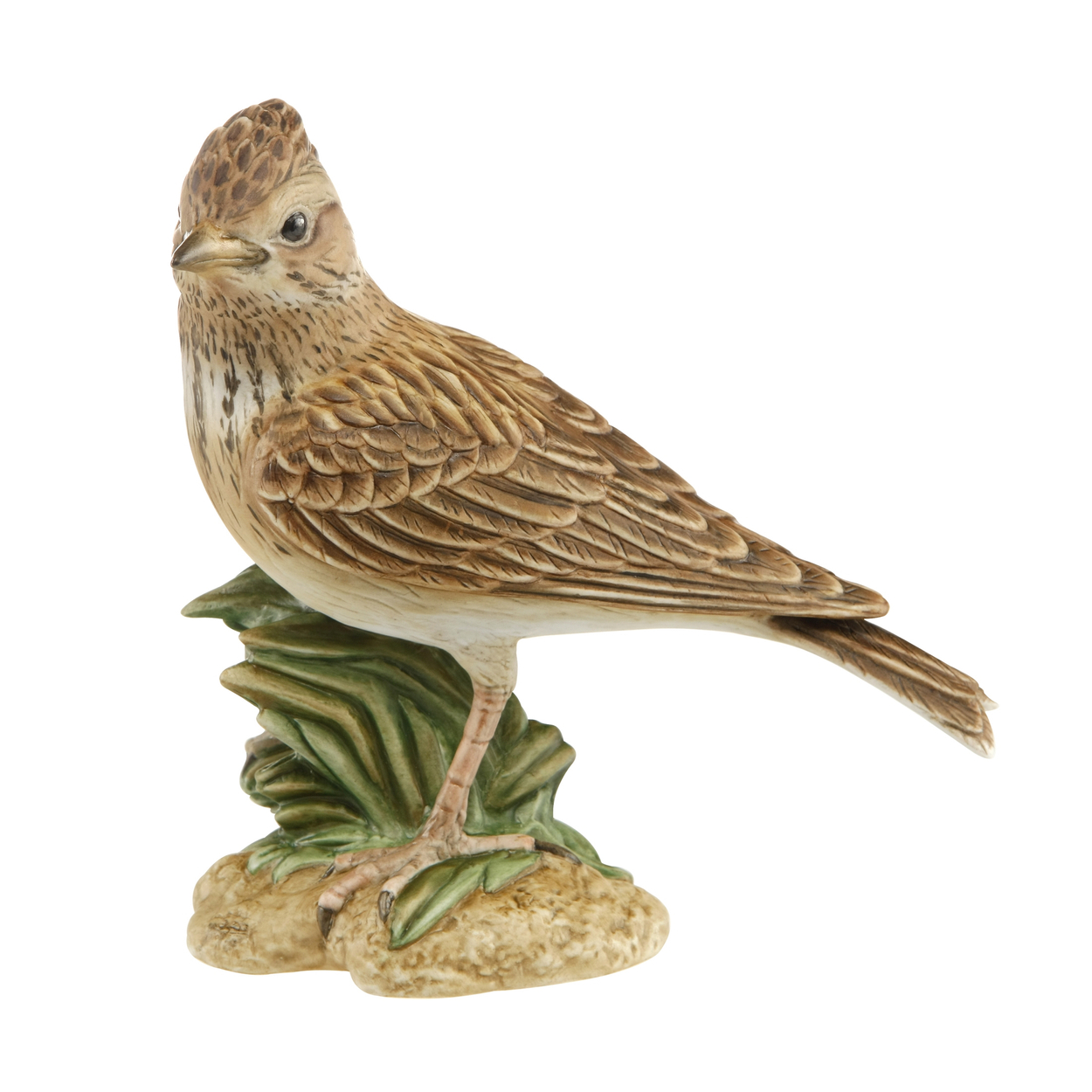 skylark 2019 big