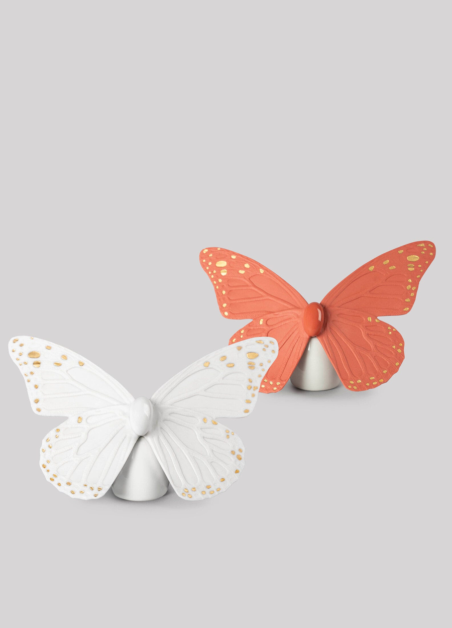 Motyl
