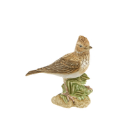 Bird of the Year 2019: Skylark