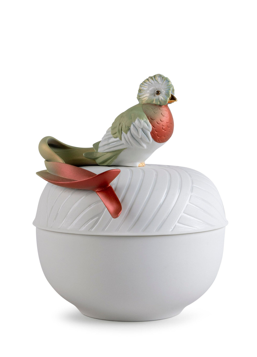 Pudełko Quetzal