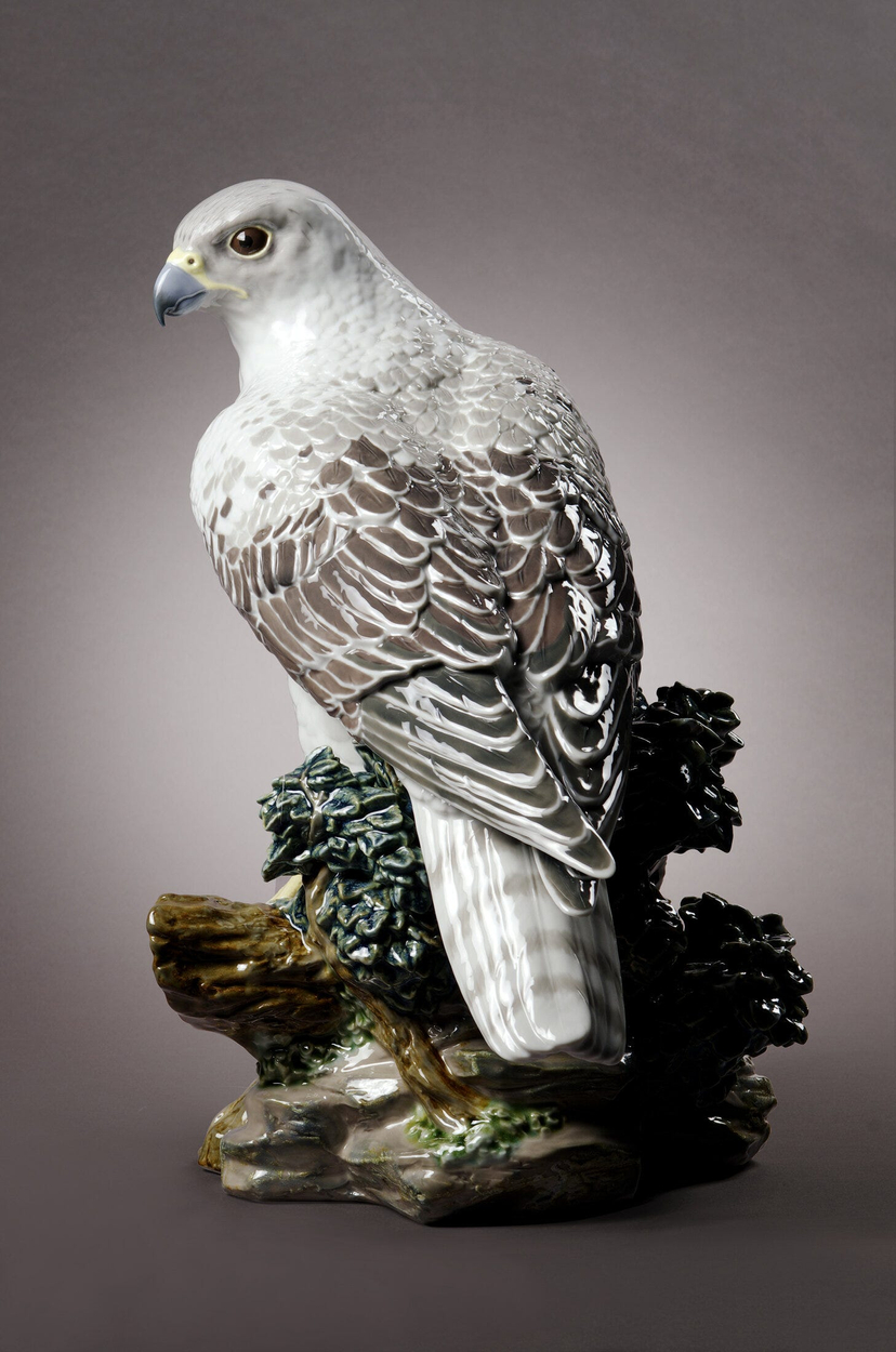 Gyrfalcon