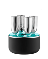 Zestaw do szampana 5 el.