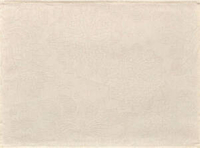 Mata plamoodporna 52x38