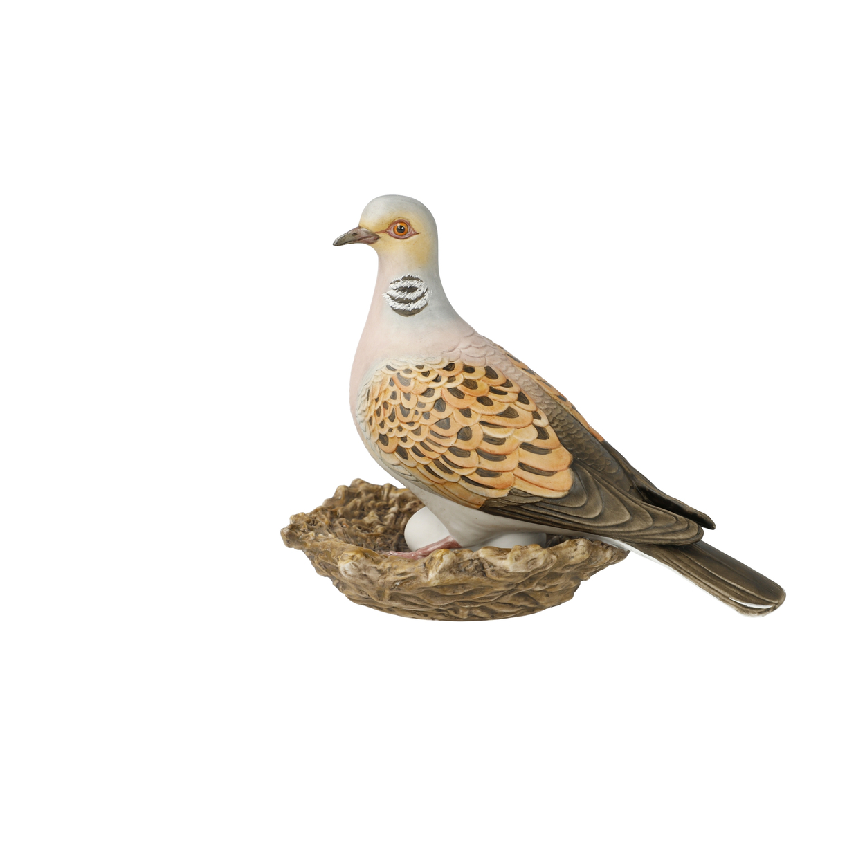 Bird of the Year 2020: Lovebird big
