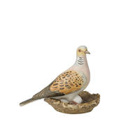 Bird of the Year 2020: Lovebird small