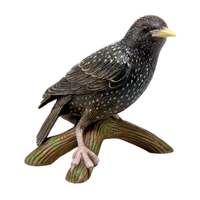 Bird of the Year 2018: Starling