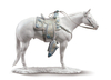 Koń White Quarter Horse