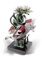 Koi