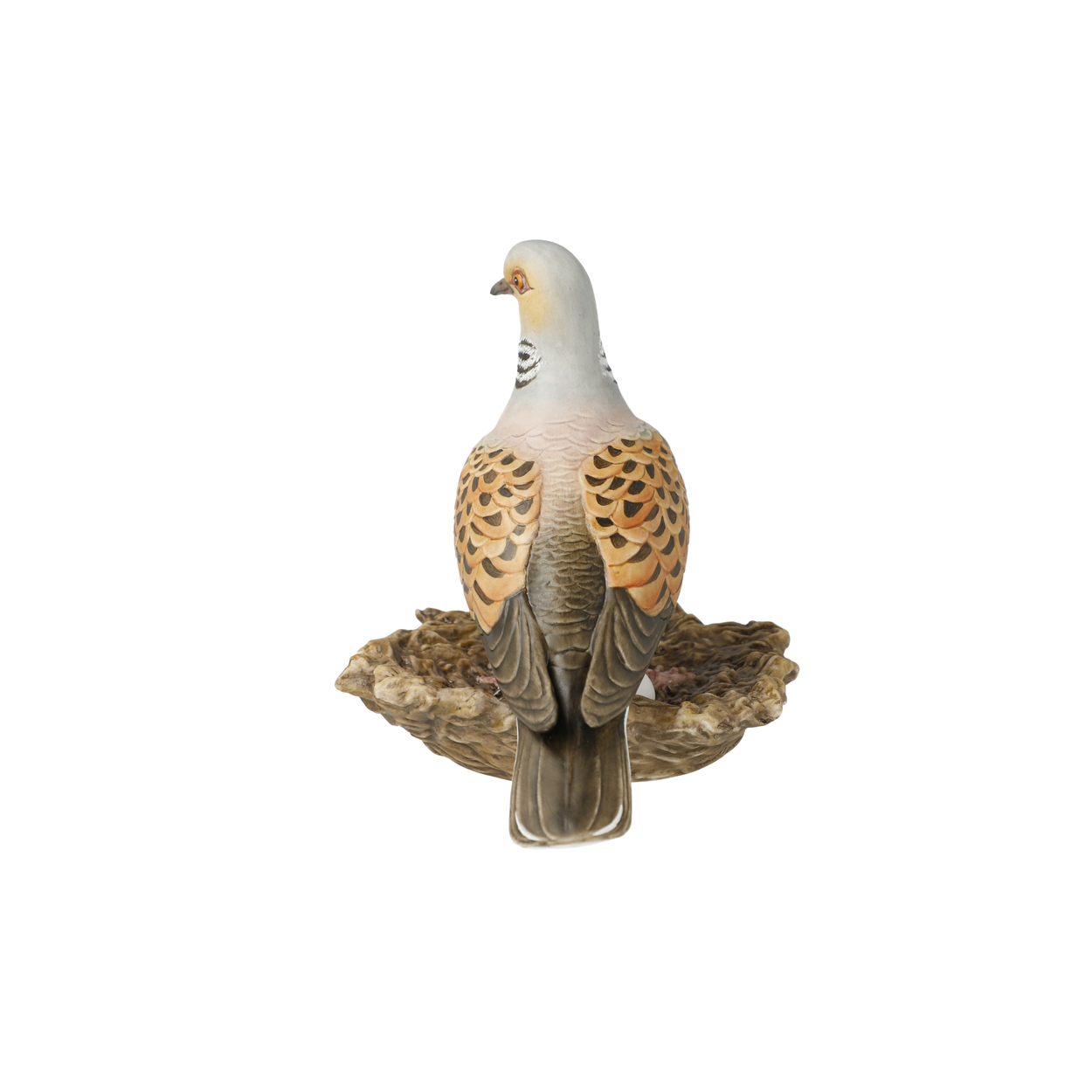 Bird of the Year 2020: Lovebird big