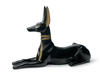 Anubis