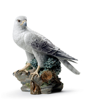 Gyrfalcon