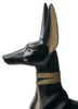 Anubis