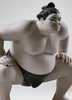 Wojownicy sumo