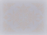 Mata plamoodporna 50x36cm