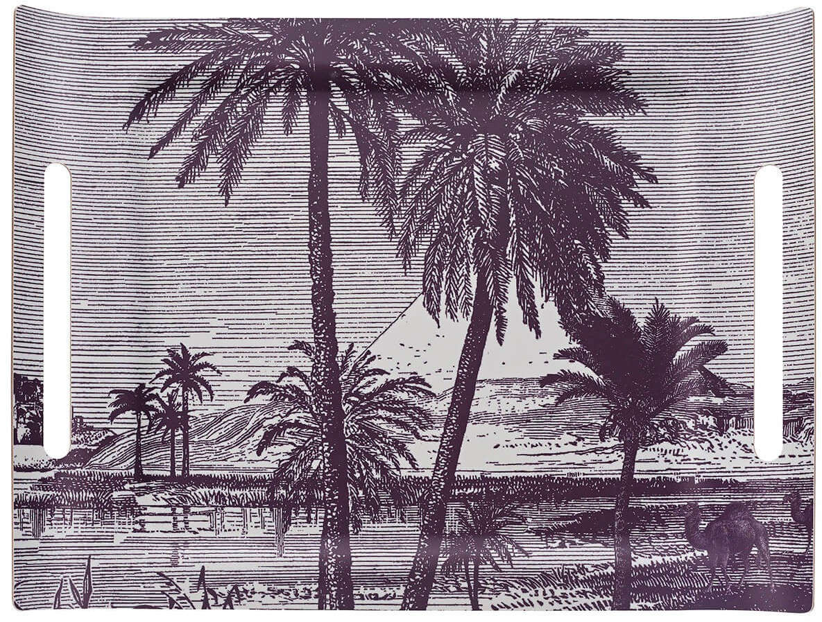 Taca 58x42cm