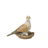 Bird of the Year 2020: Lovebird small
