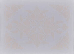 Mata plamoodporna 50x36cm